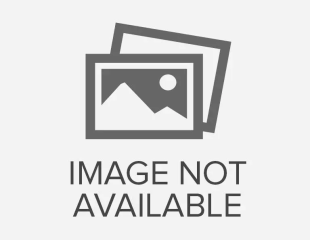 📚Hoạt động học tập